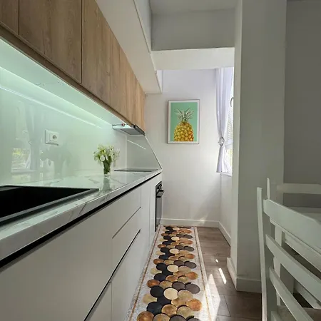 Newly Renovated 1 Bedroom Flat In Lejlighed Tepelene